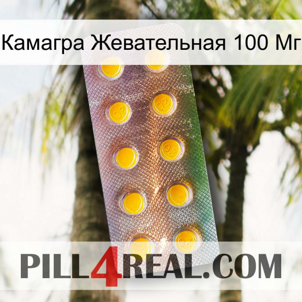 Камагра Жевательная 100 Мг new11.jpg